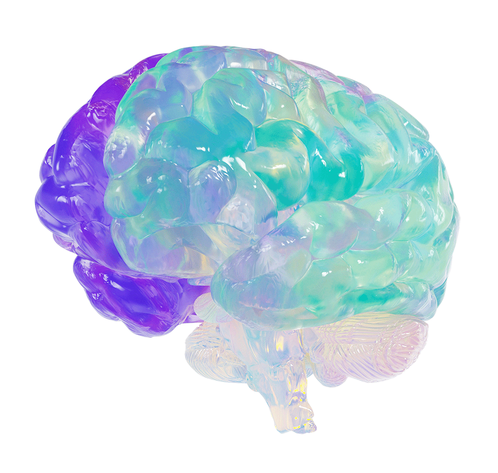Ilustración de cerebro humano representando neurociencia aplicada al neurocoaching